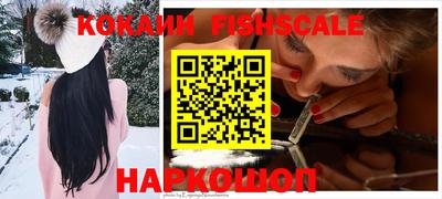 гашик Моздок