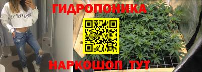гашик Моздок