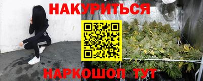 гашик Моздок