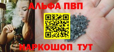 гашик Моздок