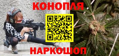 гашик Моздок