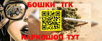 гашик Моздок
