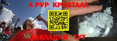 гашик Моздок