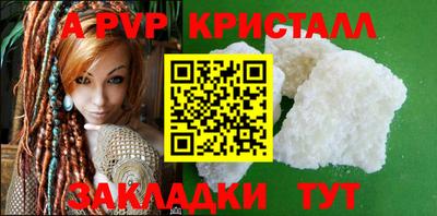 гашик Моздок